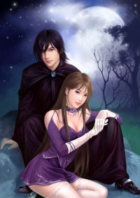 農門奇婿