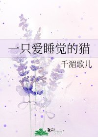 一隻愛睡覺的貓