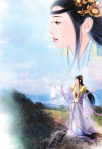網遊之大盜賊